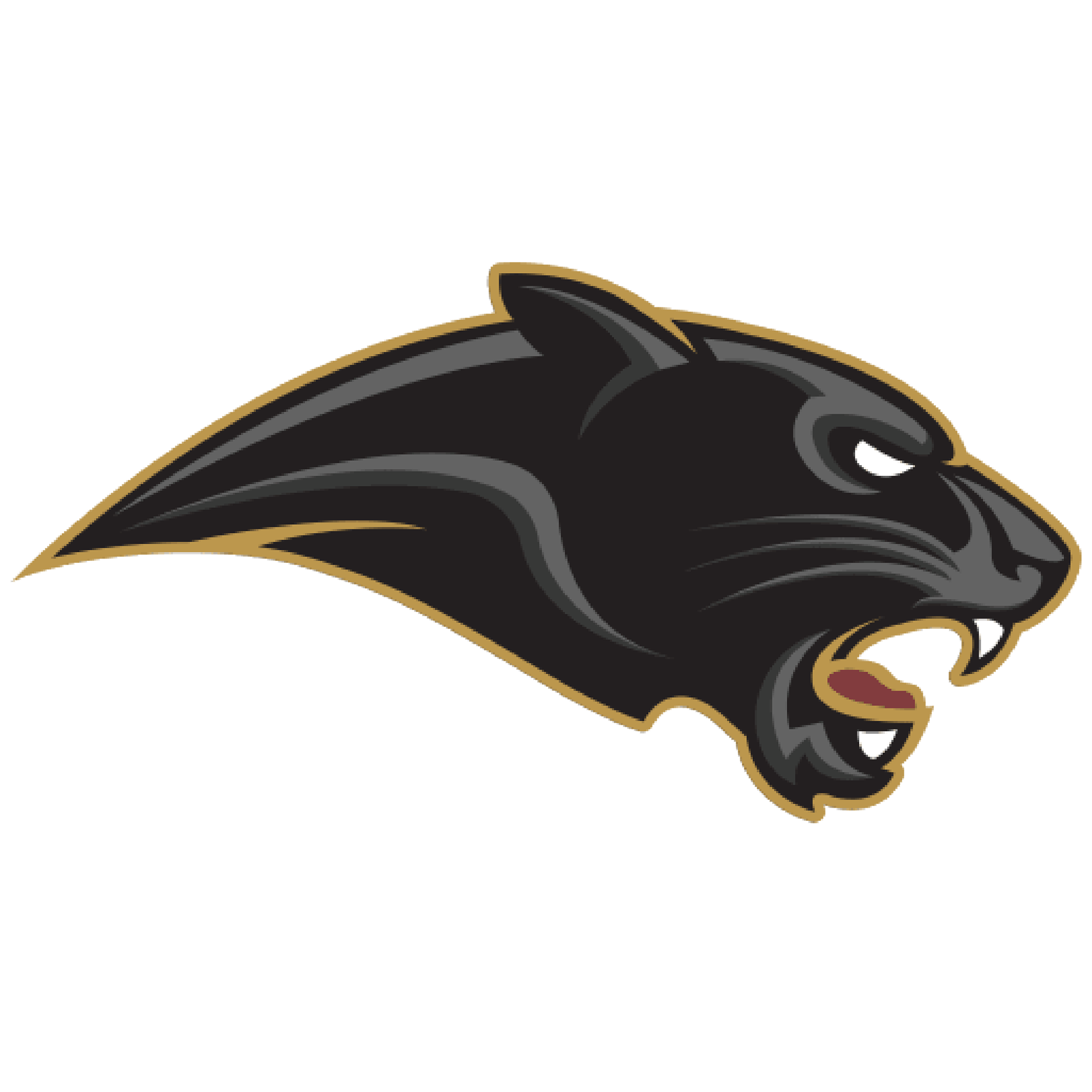 Academy logo