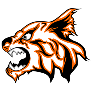 Branson logo