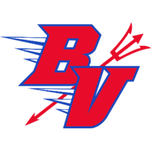 Buena Vista logo