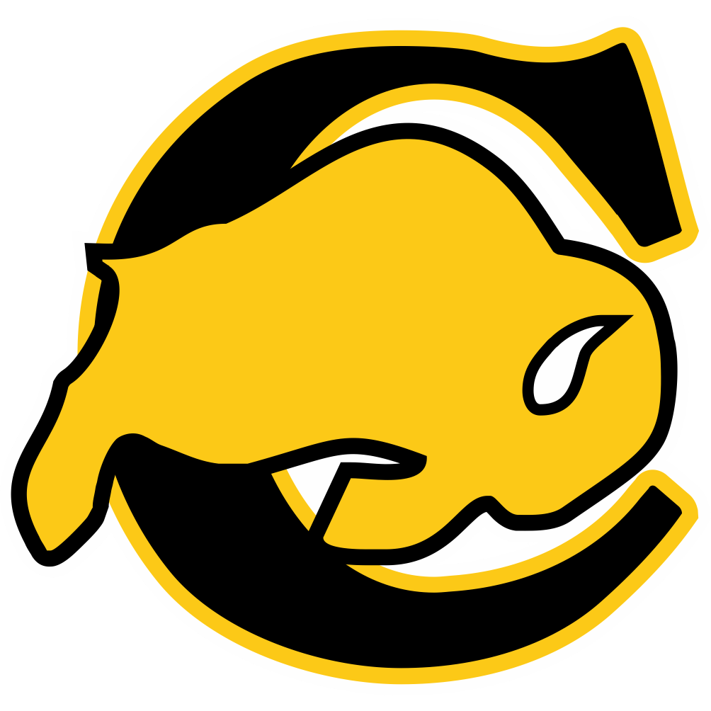 Caliche logo