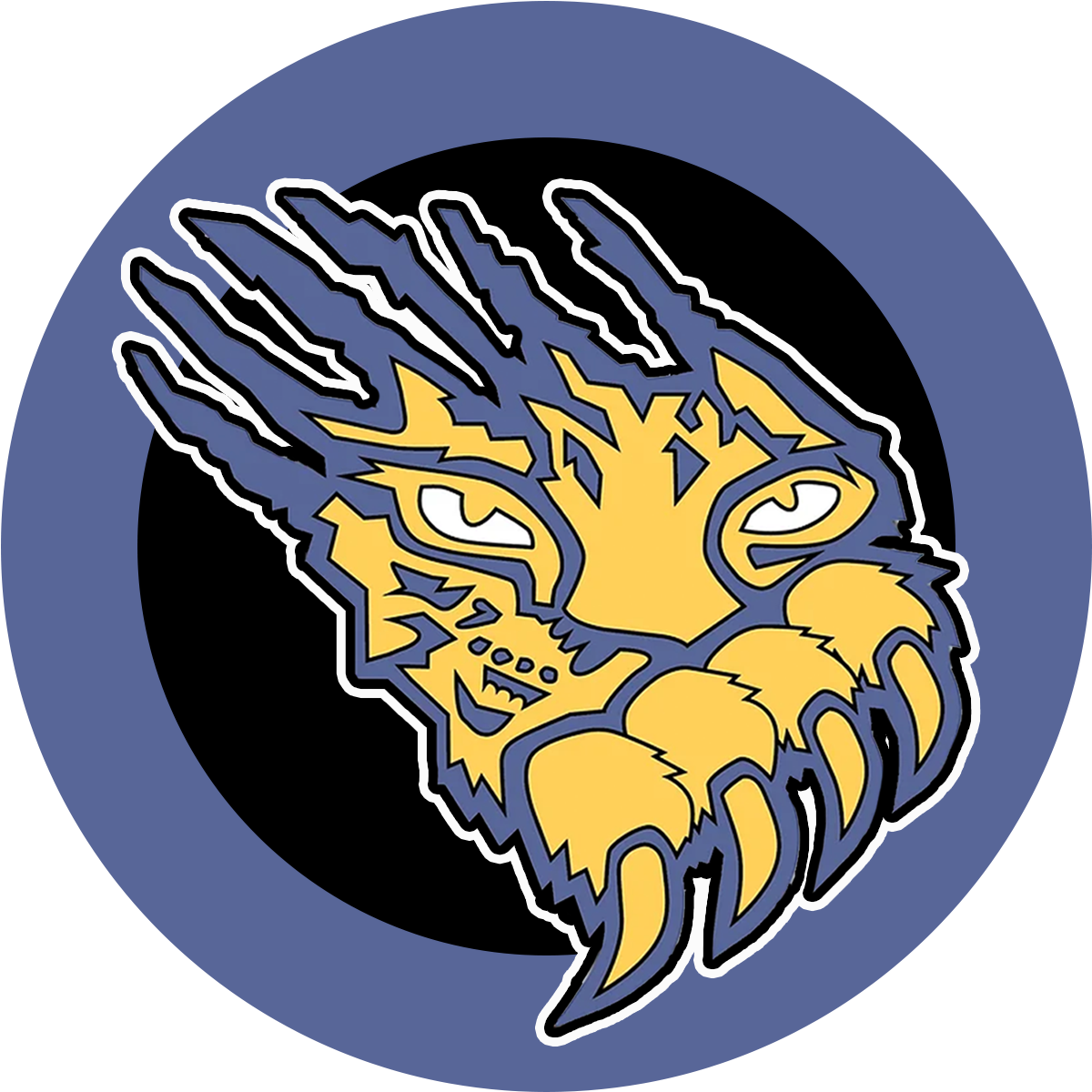 Custer County logo