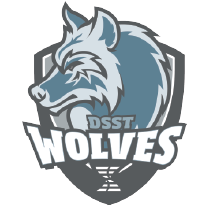 DSST: College View logo