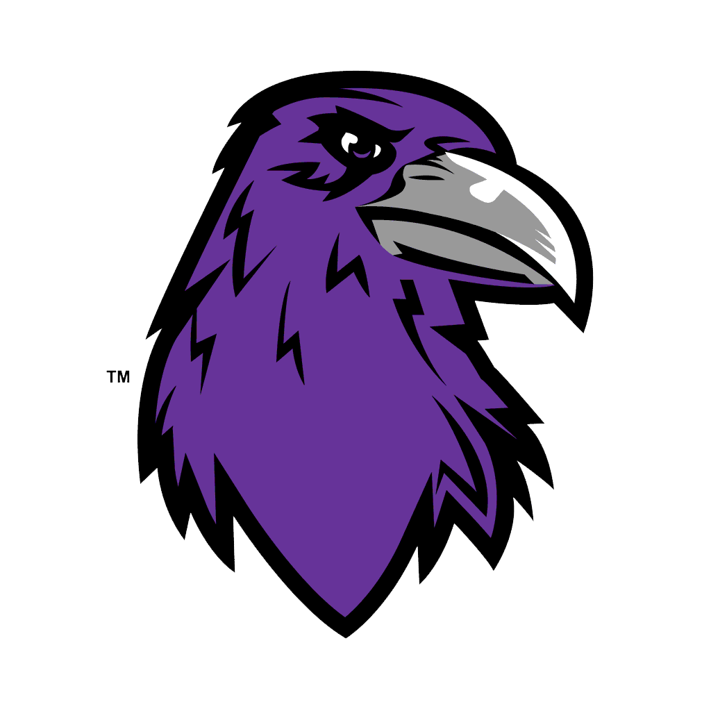 Denver South logo