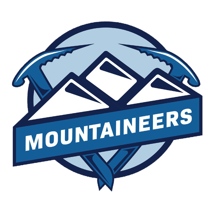 The Village logo