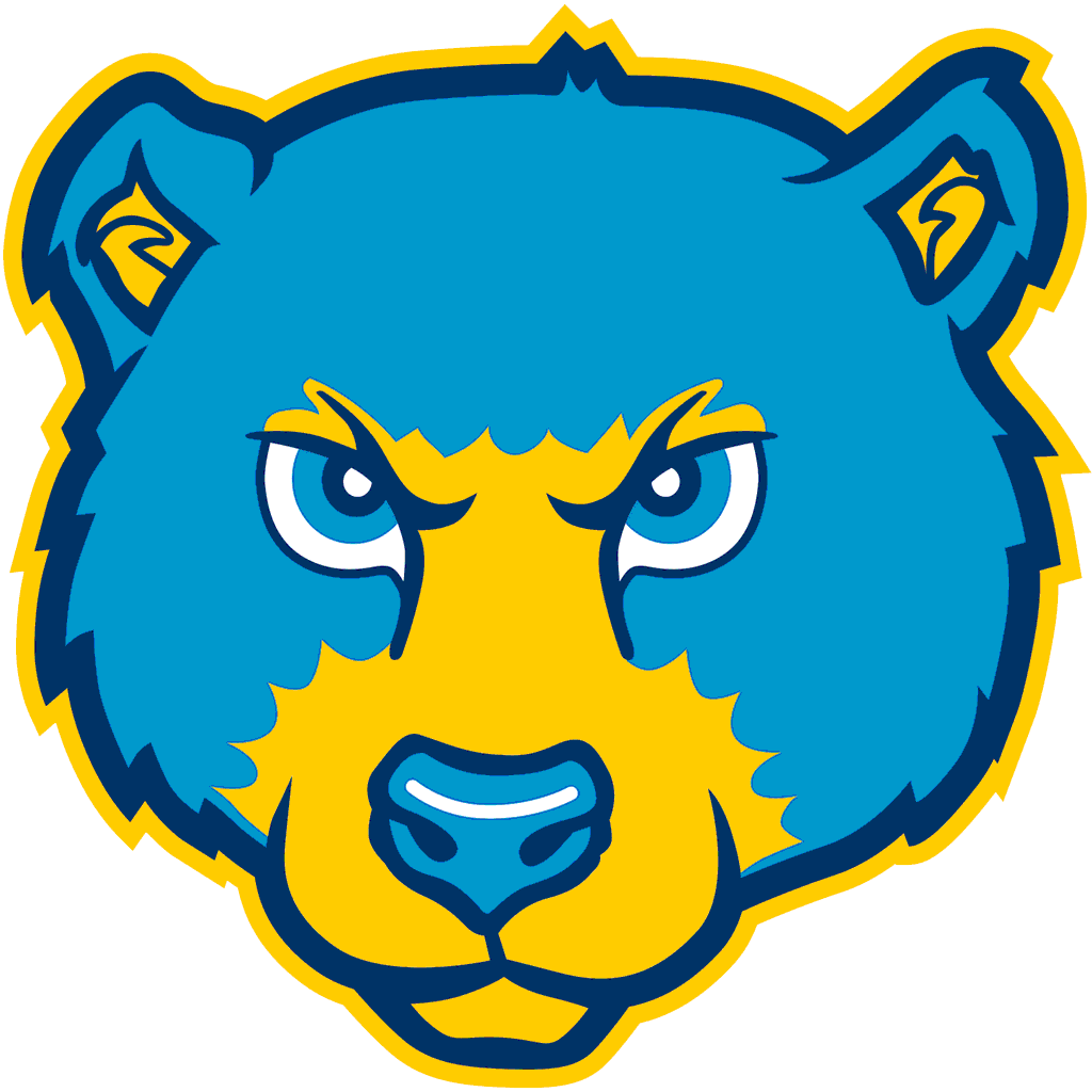 Timnath logo