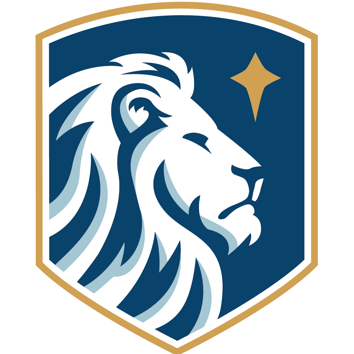 Colorado Springs Christian logo
