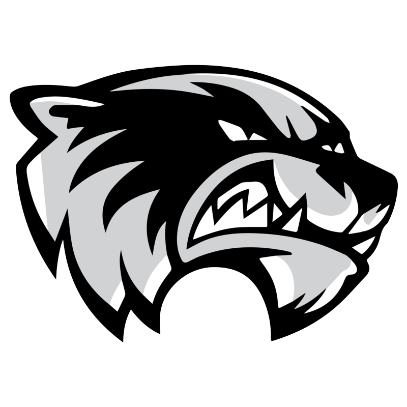 Skyview logo