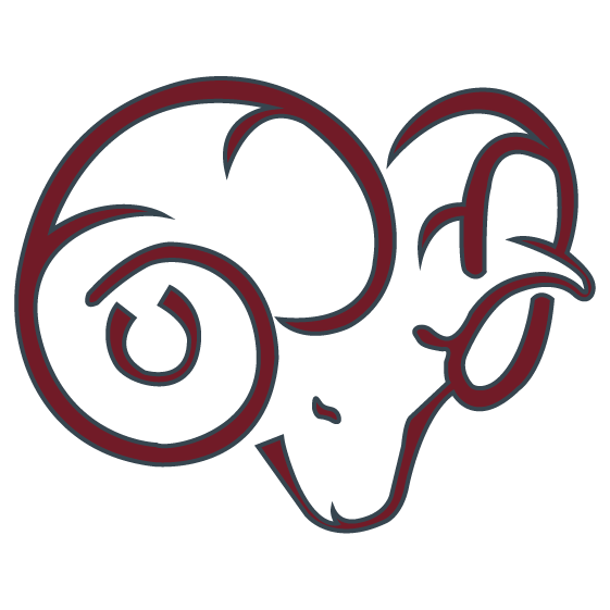 Soroco logo