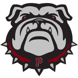 Palisade logo