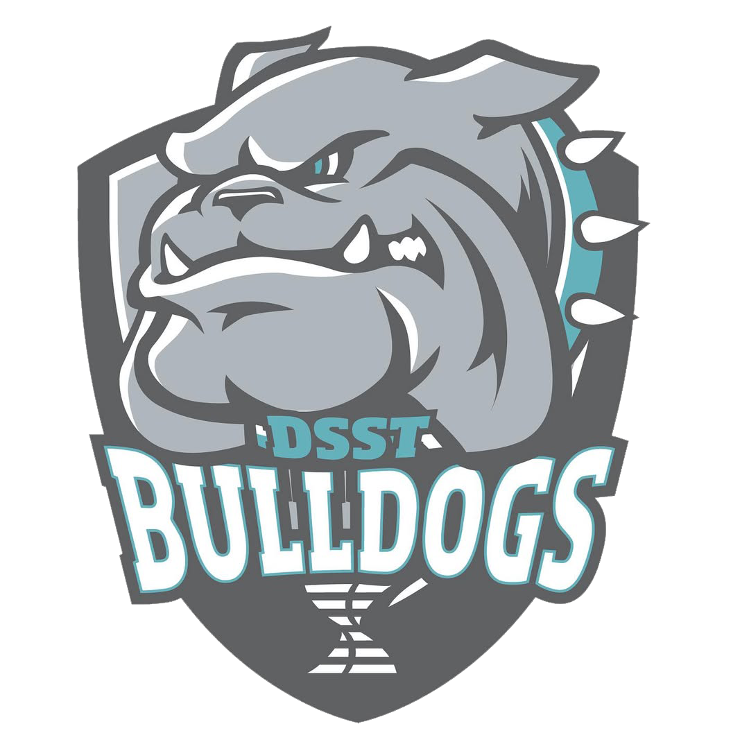 DSST: Elevate Northeast logo