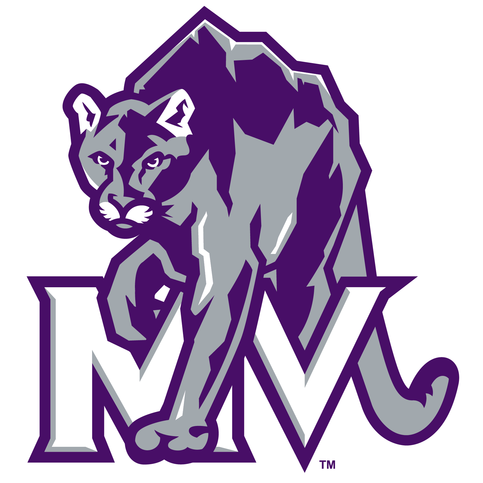 Mountain View logo