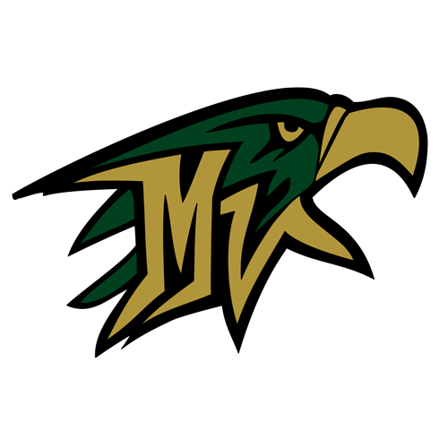 Mountain Vista logo